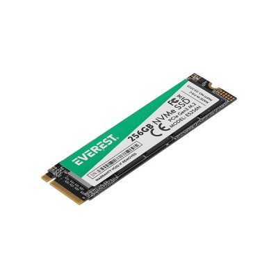 EVEREST 256GB ES256N 2500-1800MB/s M2 NVME DİSK