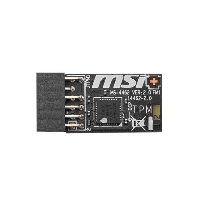 Msı Tpm 2.0 Module(Spı)